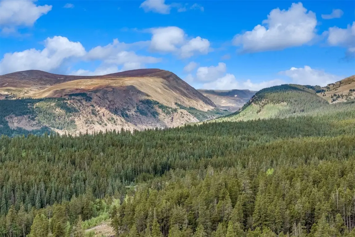 158 N Aspen Street, Alma, CO 80420 - Image #1