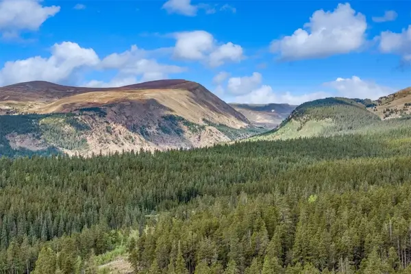 158 N Aspen Street, Alma, CO 80420