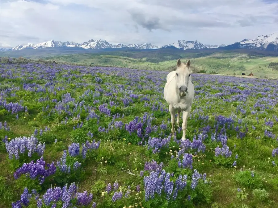 1703 Elk Run Road, Silverthorne, CO 80498 - Image #3