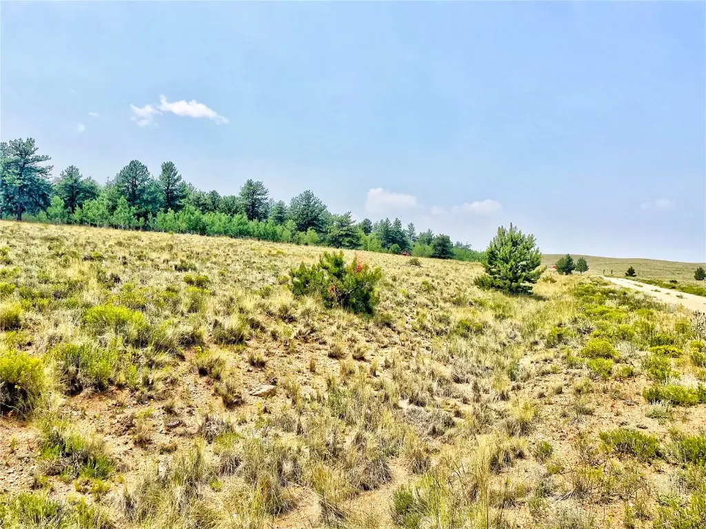 887 Superstition Trail, Hartsel, CO 80449 - Image #1