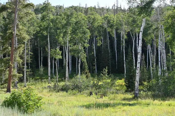 21525 Green Ridge Court, Oak Creek, CO 80467