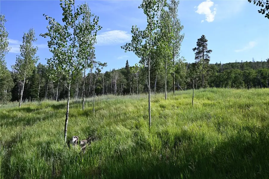 21525 Green Ridge Court, Oak Creek, CO 80467 - Image #3