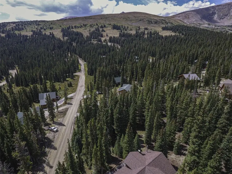 233 Camron Lane, Breckenridge, CO 80424 - Image #3