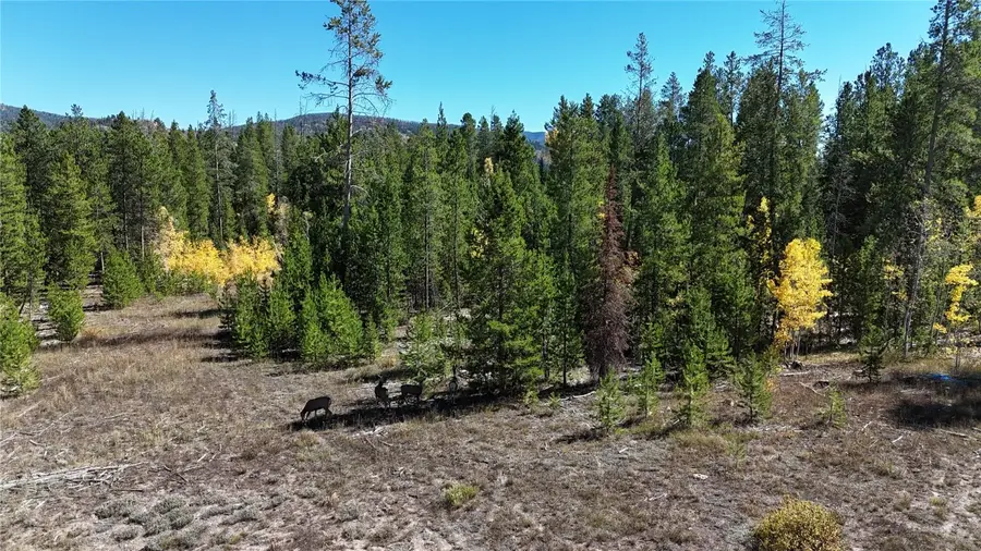 33345 Appaloosa Way, Oak Creek, CO 80467 - Image #2