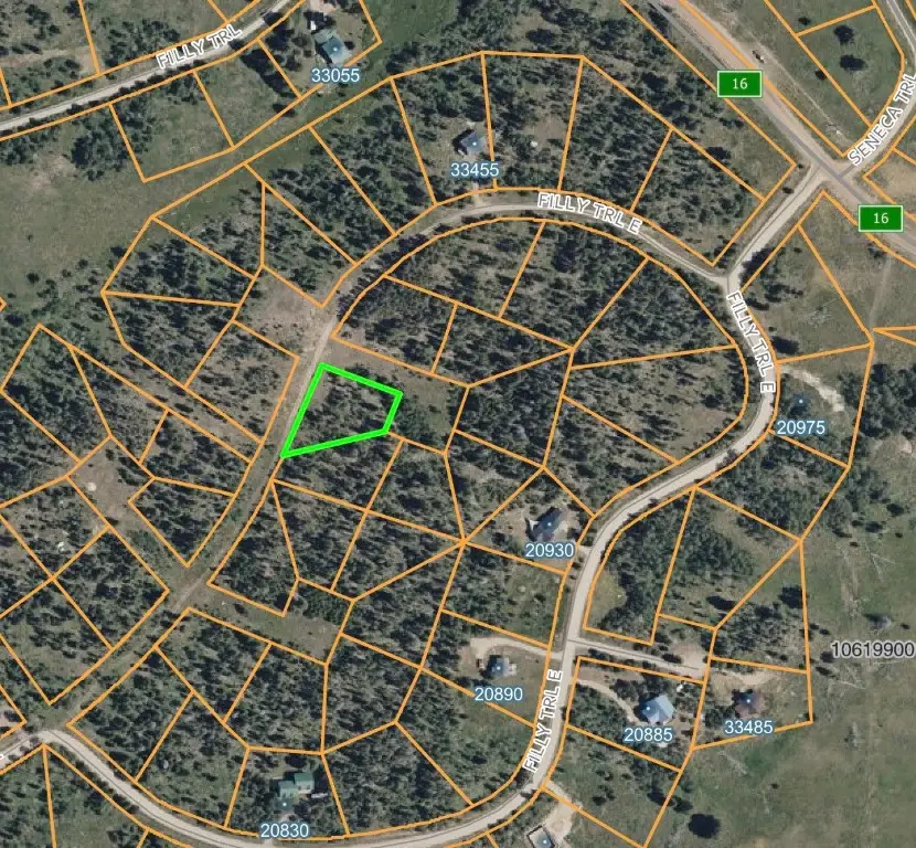 33335 Appaloosa Way, Oak Creek, CO 80467 - #1