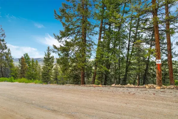 TBD Trout Creek Lane, Fairplay, CO 80440