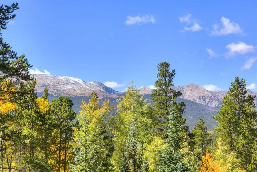 9 Rounds Dr Road, Breckenridge, CO 80424 - Image #3