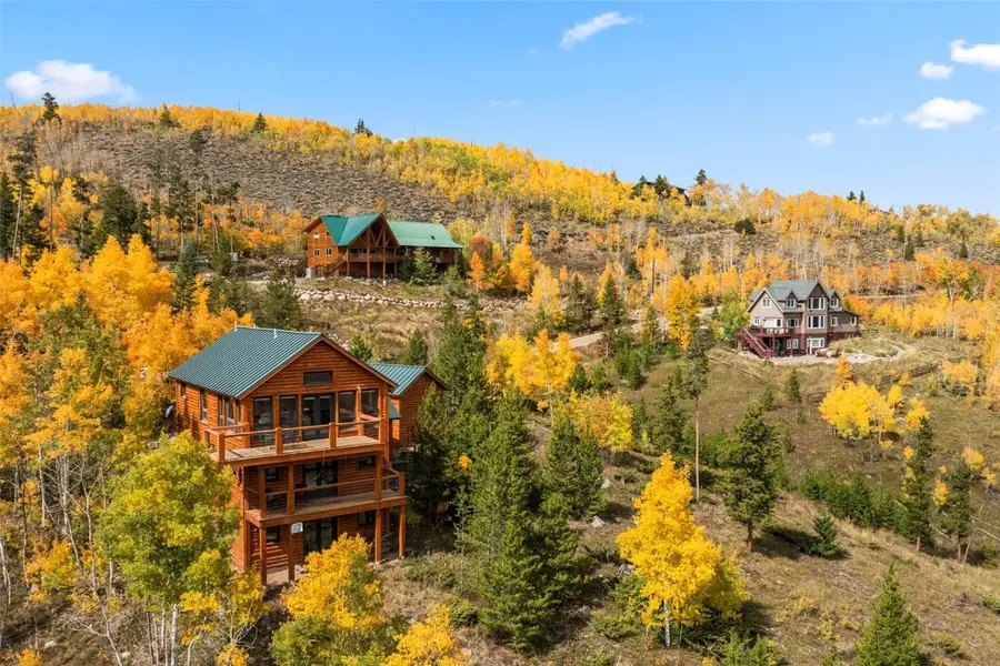 1007 Blue Ridge Road, Silverthorne, CO 80498 - Image #2