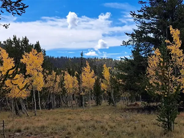 1403 Wampum Lane, Como, CO 80432