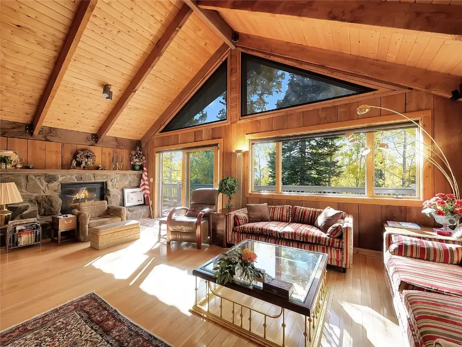 28 Sky Pilot Drive, Silverthorne, CO 80498 - #2