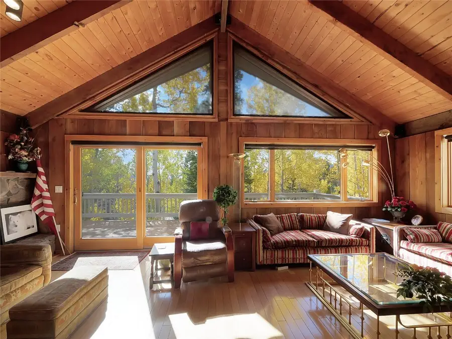 28 Sky Pilot Drive, Silverthorne, CO 80498 - #3