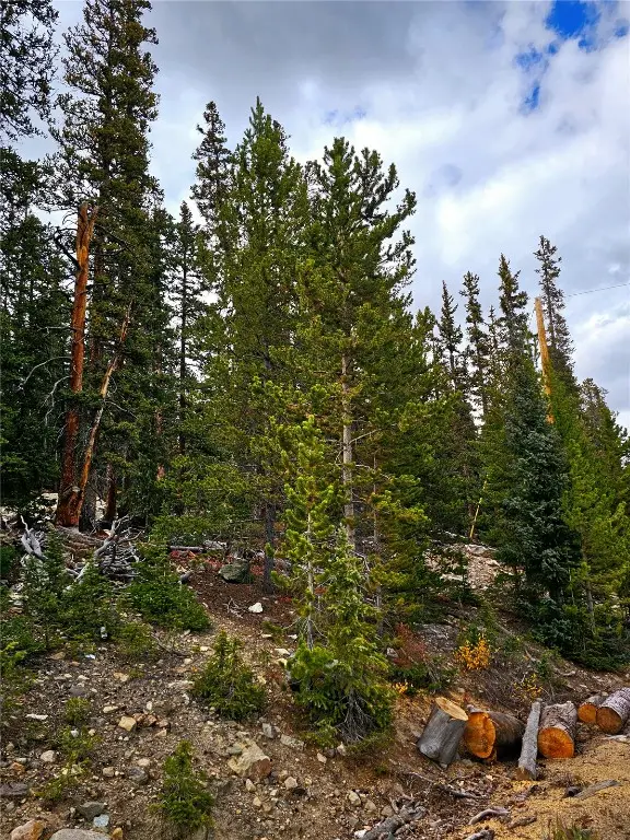 387 El Lobo Lane, Fairplay, CO 80440