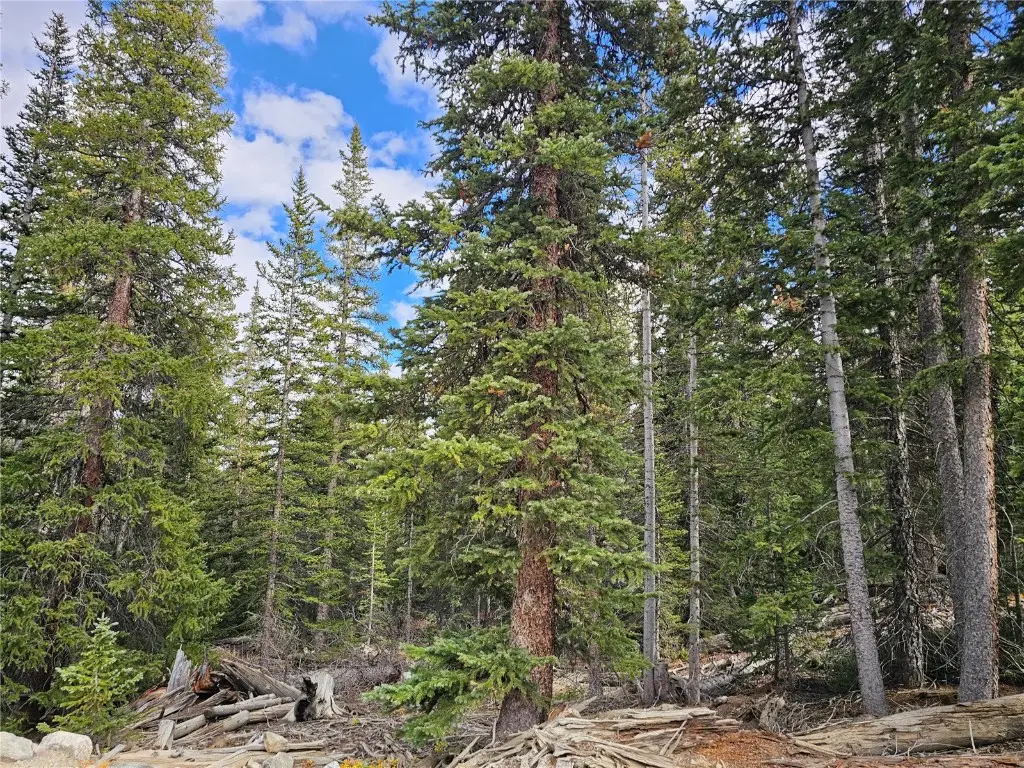 617 Gold Trail Circle, Fairplay, CO 80440 - #1