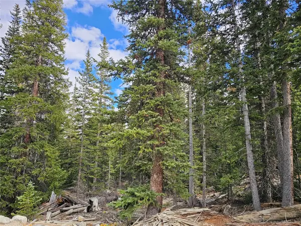 617 Gold Trail Circle, Fairplay, CO 80440