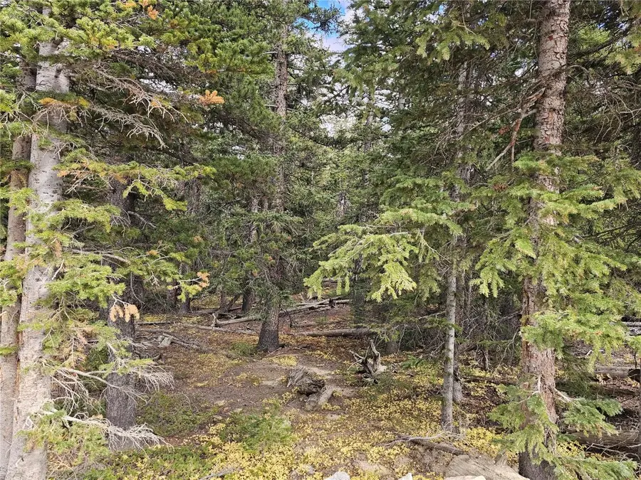 617 Gold Trail Circle, Fairplay, CO 80440 - #2