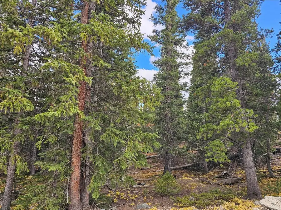 617 Gold Trail Circle, Fairplay, CO 80440 - #3