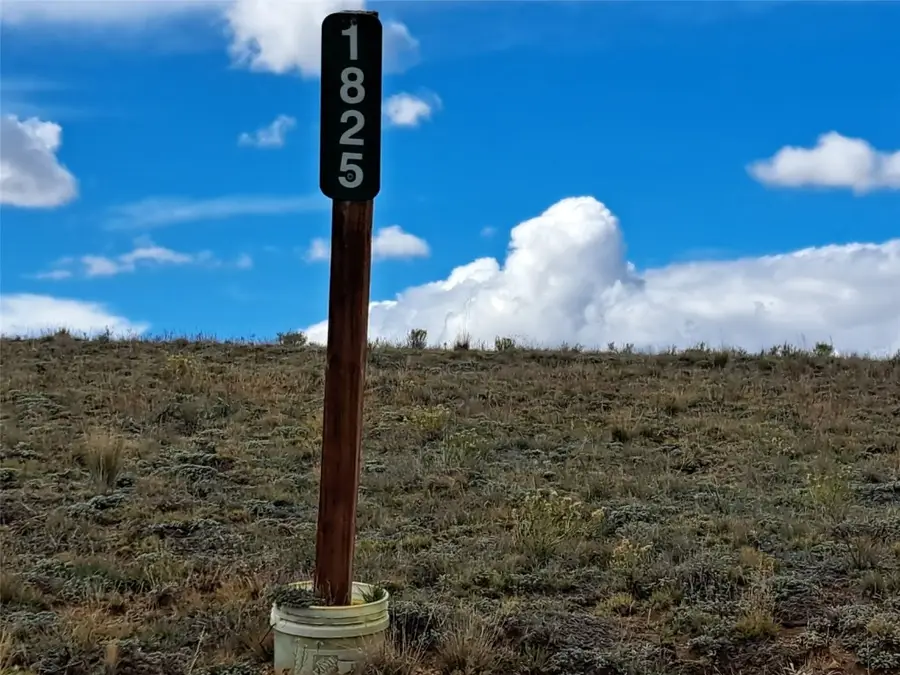 1825 Rhyolite Drive, Como, CO 80432 - #2