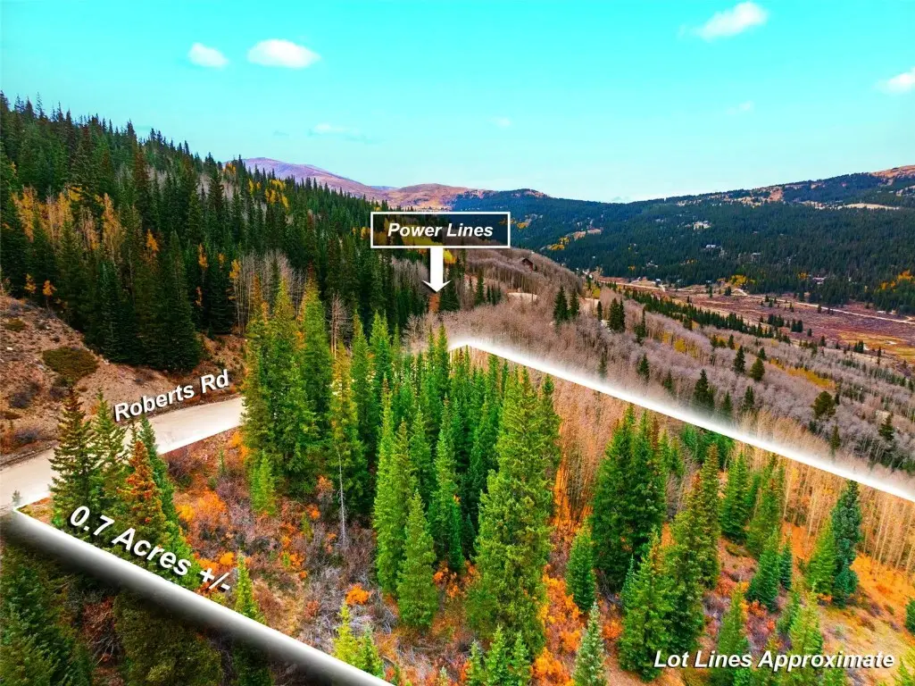 0000 Roberts Road, Alma, CO 80420 - Image #1