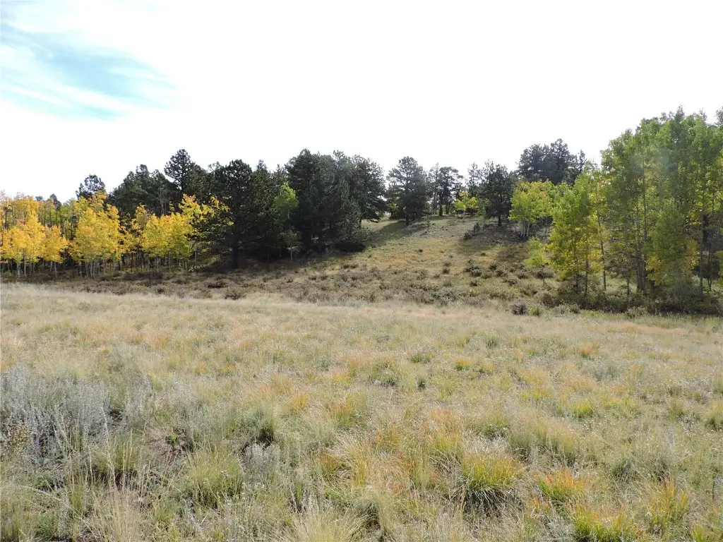 400 Aspen Way Drive, Lake George, CO 80827 - #1