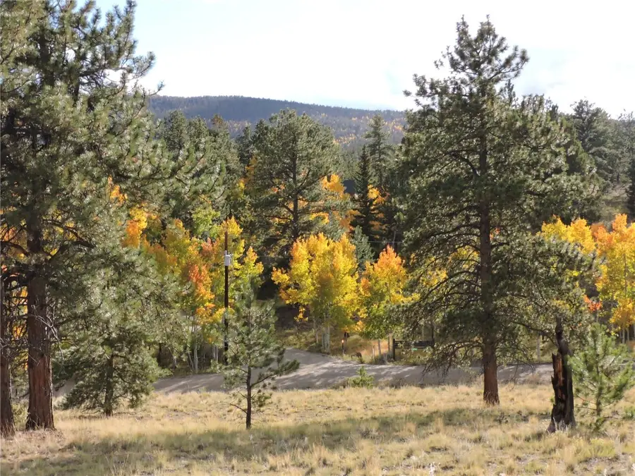 5113 Campfire Road, Hartsel, CO 80449 - #2