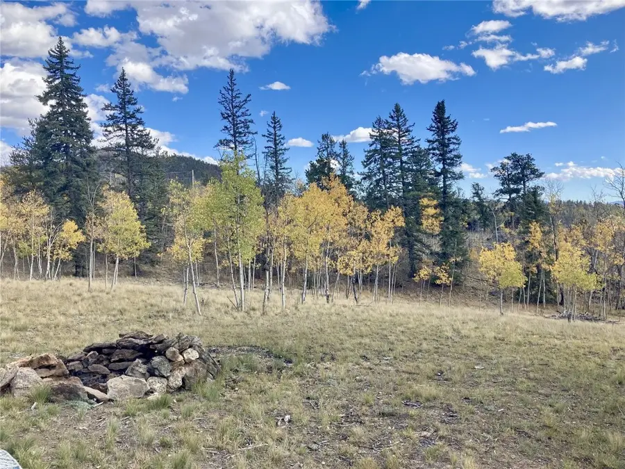 1140 Ute Trail, Como, CO 80456 - Image #2