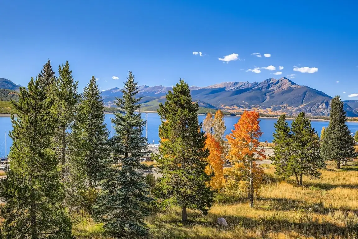 160 E La Bonte Street #306, Dillon, CO 80435 - Image #1