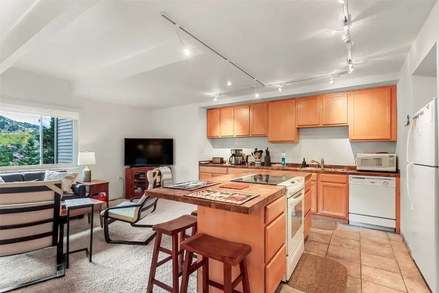 370 E La Bonte Street #F, Dillon, CO 80435 - Image #2