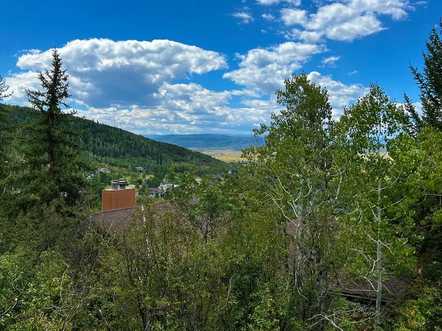 2927 Laurel Lane, Steamboat Springs, CO 80487 - Image #2