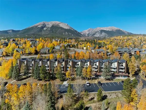 7307 Ryan Gulch Road #7307, Silverthorne, CO 80498