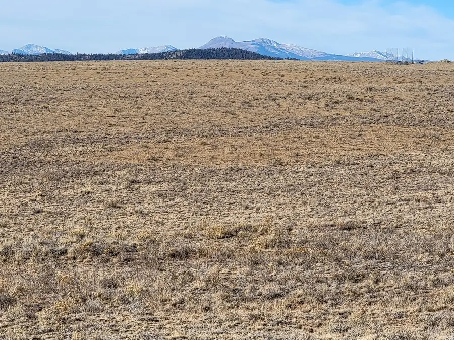 1162 Rocky Mountain Road, Hartsel, CO 80449 - Image #3