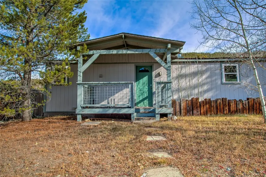56 Magnum Bonum Drive, Breckenridge, CO 80424 - #2