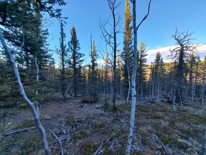 00 Haida Lane, Como, CO 80432 - #1