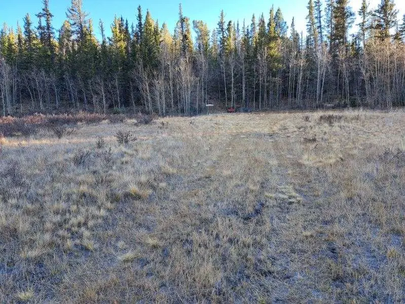 00 Haida Lane, Como, CO 80432 - #3