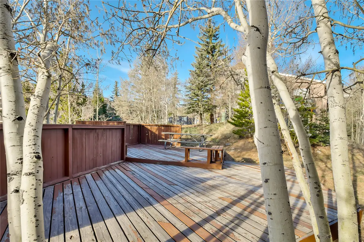 2710 Ryan Gulch Road #2731, Silverthorne, CO 80498 - #1