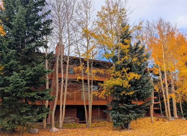 738 Lagoon Drive #D, Frisco, CO 80443