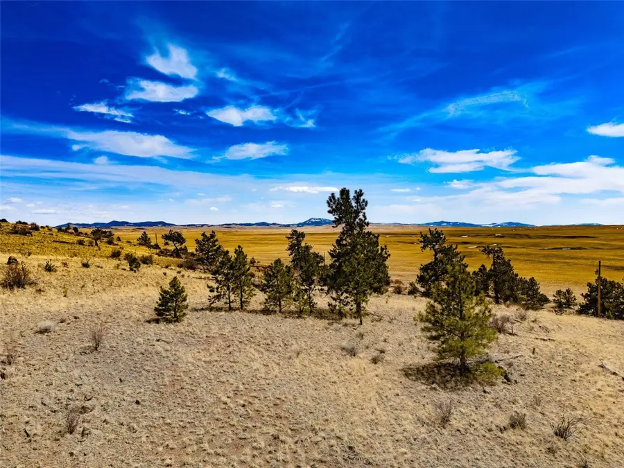 102 Pack Saddle Court, Lake George, CO 80449 - Image #2