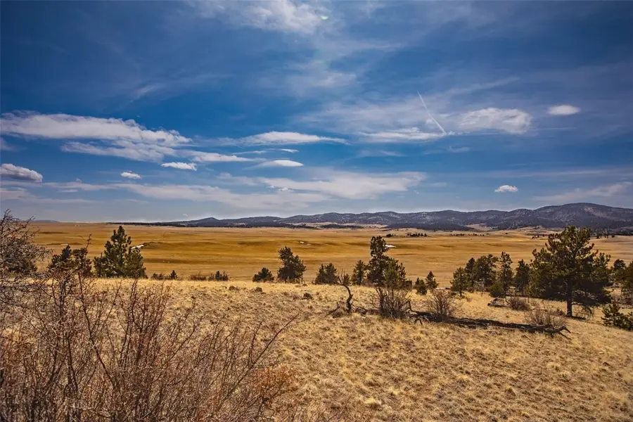 102 Pack Saddle Court, Lake George, CO 80449 - Image #3