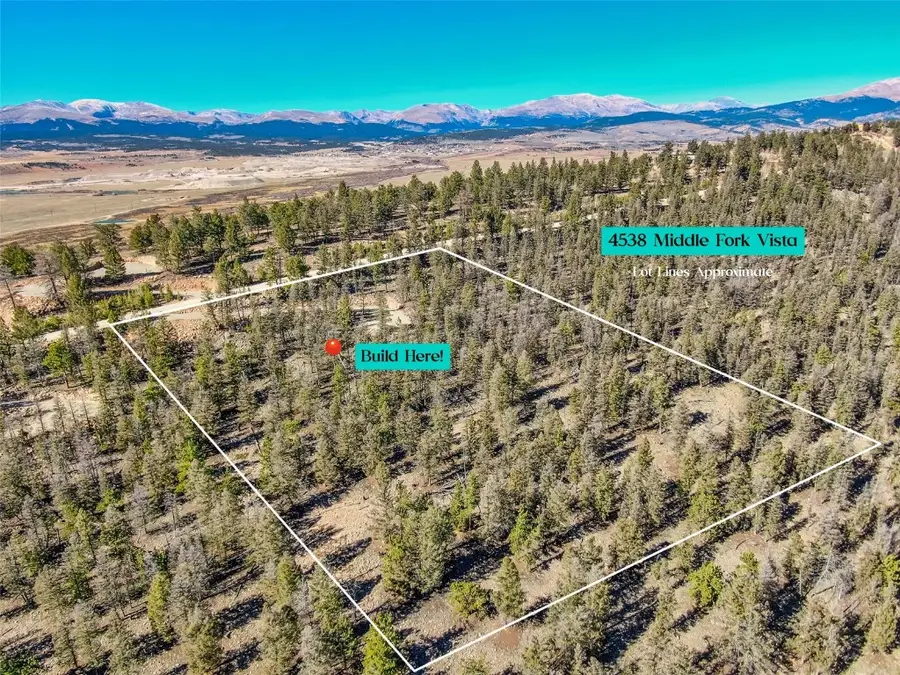 4538 Middle Fork, Fairplay, CO 80440 - #3