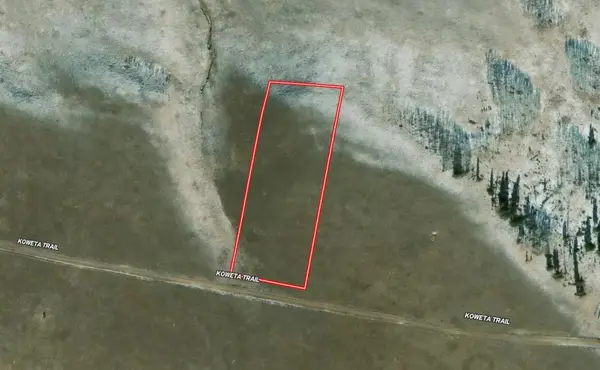 TBD Koweta Trail, Hartsel, CO 80449