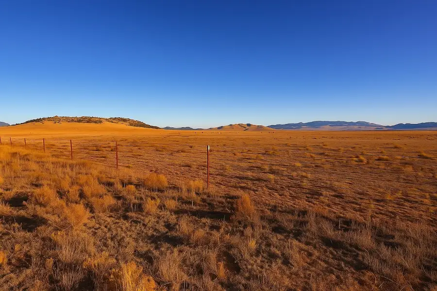 TBD Black Beaver Road, Hartsel, CO 80449 - Image #2