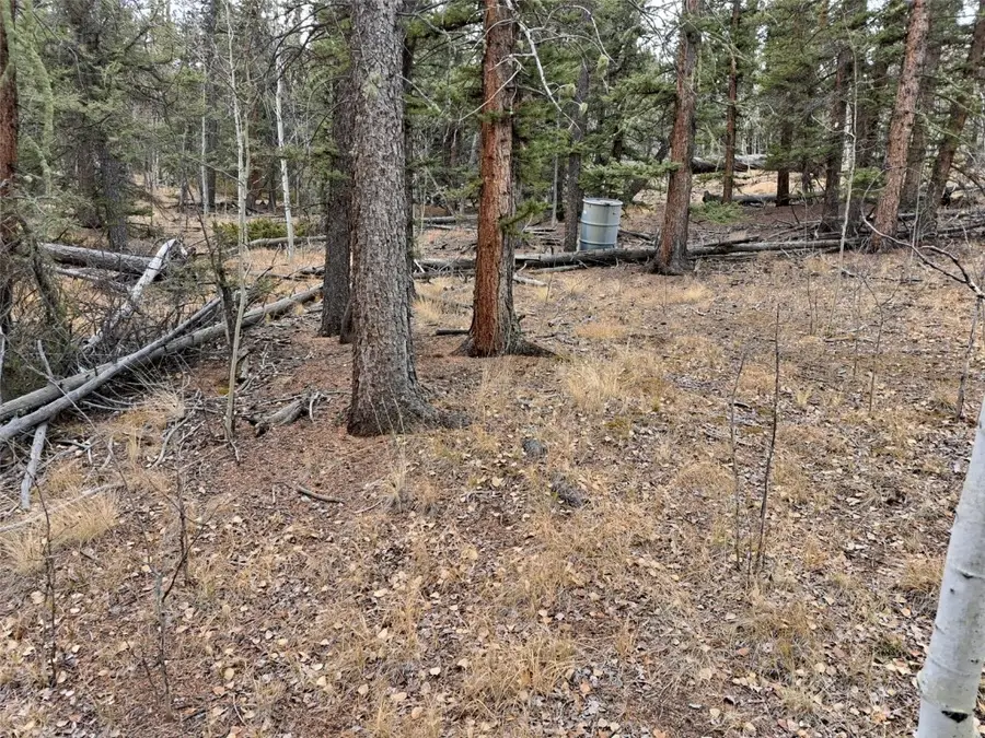 210 Tepee Trail, Como, CO 80432 - #2
