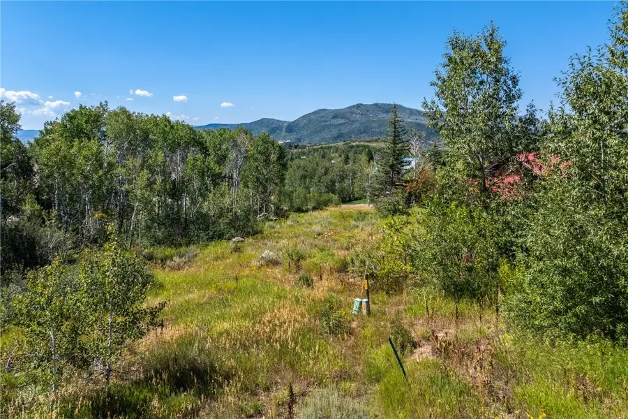 245 Huckleberry Lane, Steamboat Springs, CO 80487 - Image #2