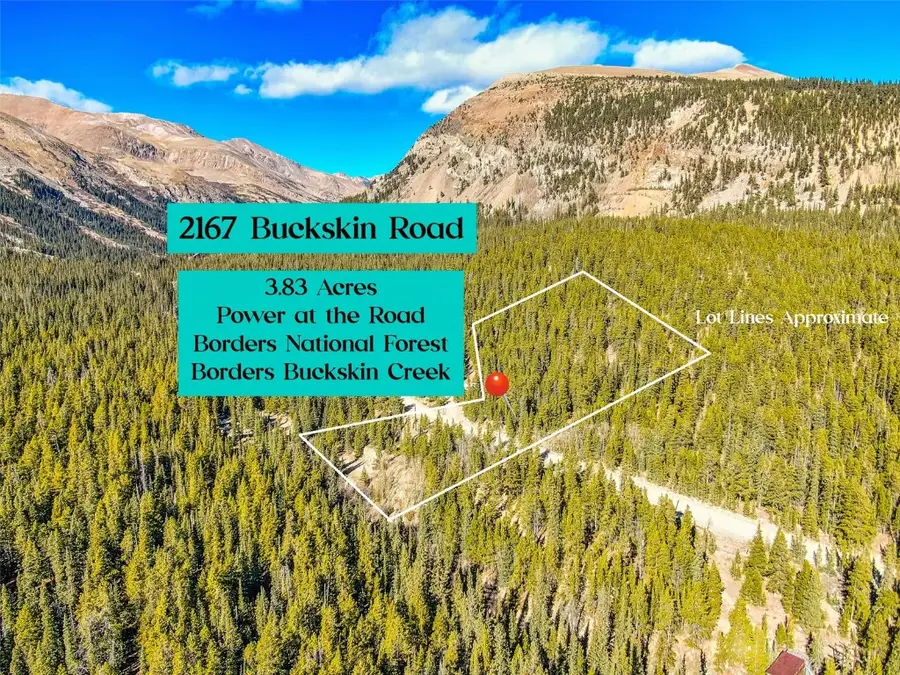 2167 Buckskin Road, Alma, CO 80440 - #2