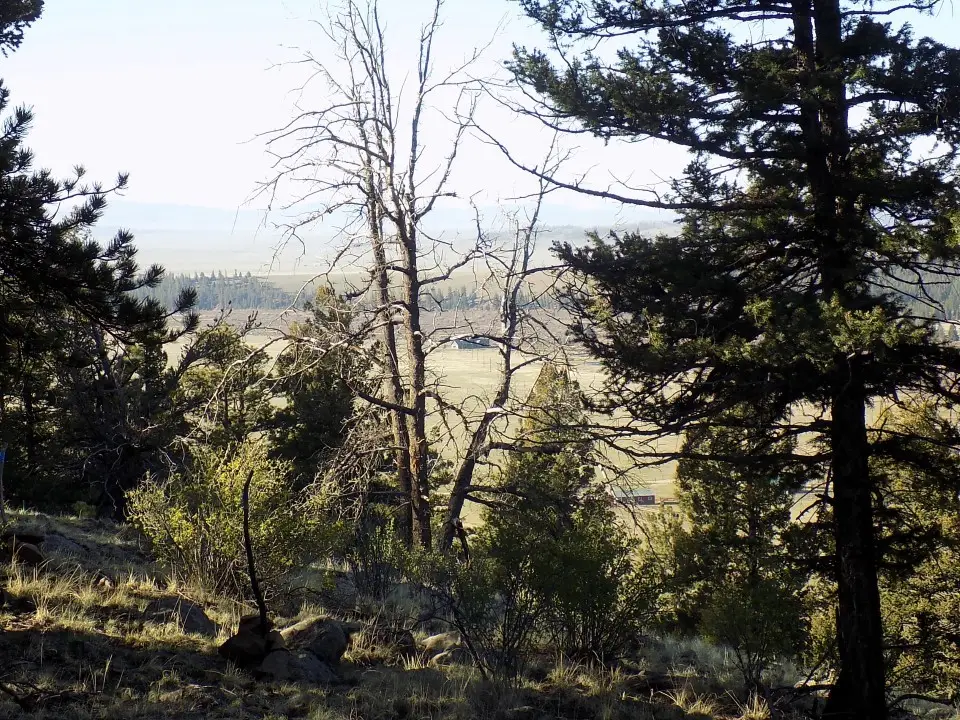 2381 Redhill Road, Fairplay, CO 80440 - #1