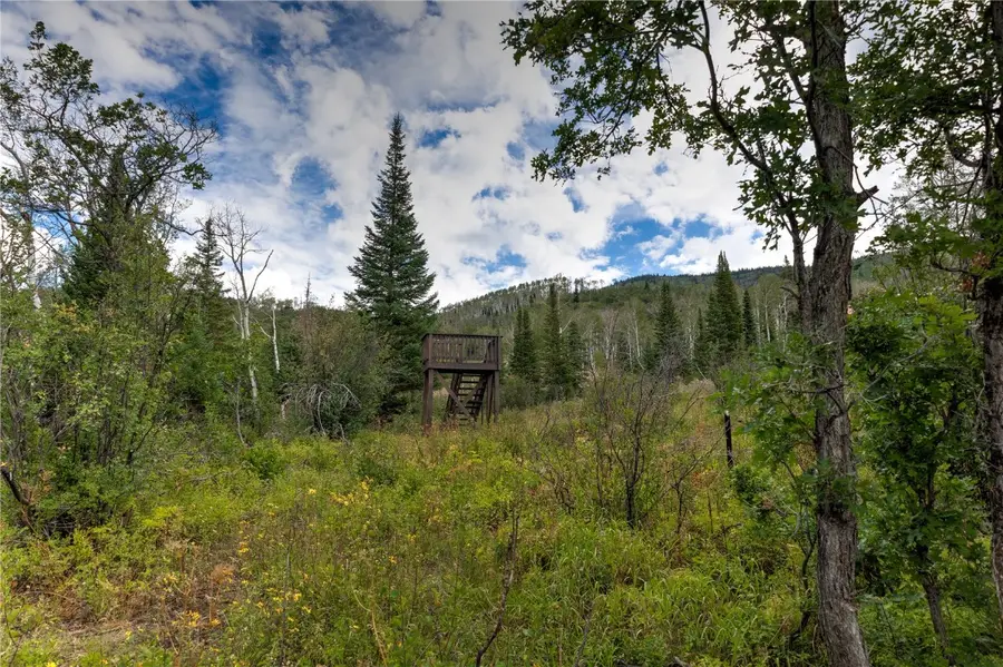 34905 Rockledge Road, Steamboat Springs, CO 80487 - #2