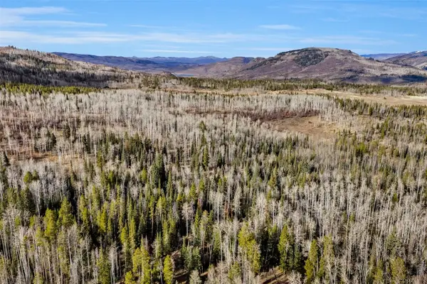 20331 King Bolt Way, Oak Creek, CO 80467