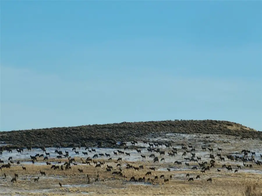 TBD Cr 19, Maybell, CO 81640 - Image #2