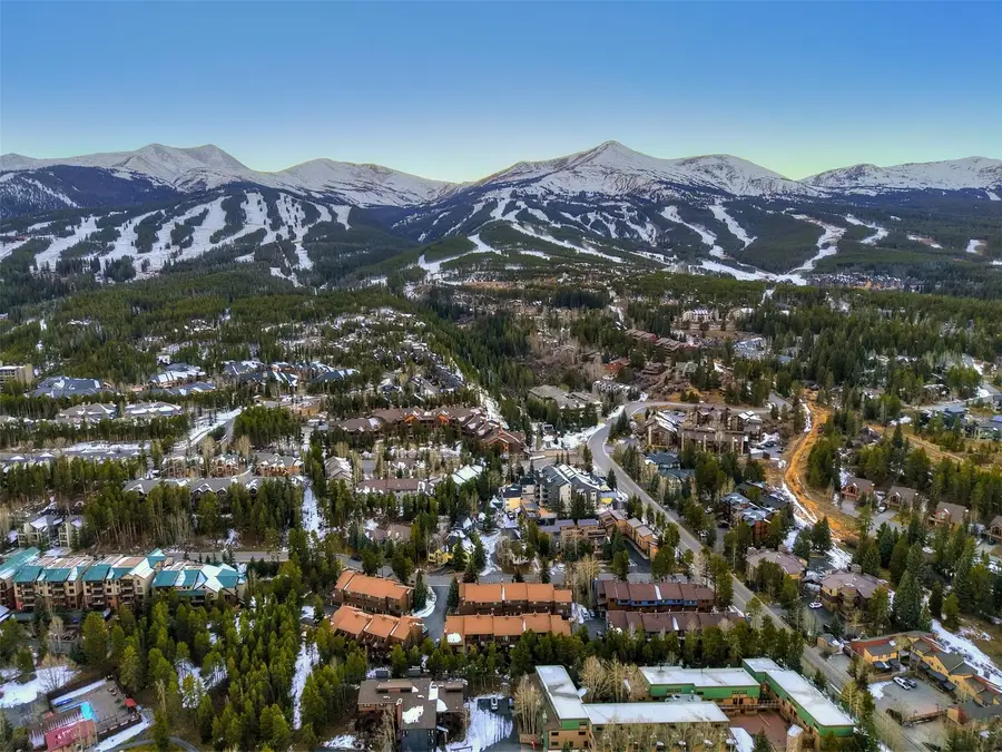 270 Primrose Path #33, Breckenridge, CO 80424 - #2