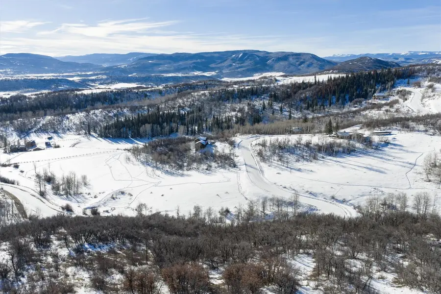 21440 Whitewood Drive W, Steamboat Springs, CO 80487 - Image #3