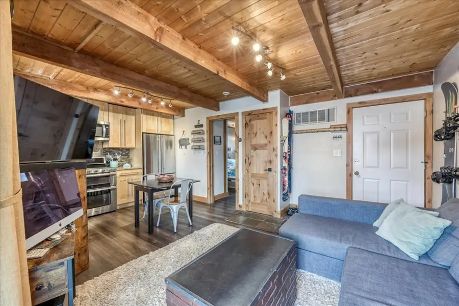 100 Cove Boulevard #B, Dillon, CO 80435 - Image #2